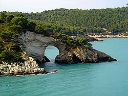 vieste, vieste residence, vieste appartamenti, vieste hotels, vieste vacanza, vieste alloggi, vieste agriturismo, vieste albergo, vieste pensione, vieste casa vacanza - Le magiche parole per la Tua vacanza a VIESTE
